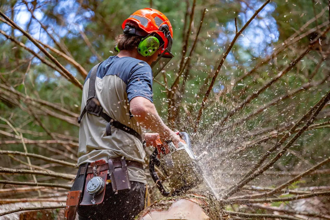 - © Anna Mareike Rathjen